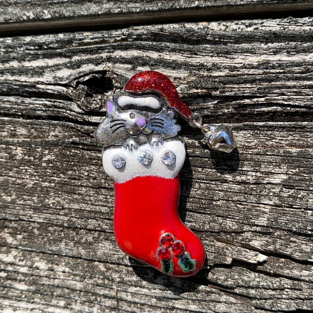 Cat in Christmas Stocking Pin